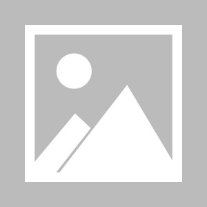 世界杯官方安装包-【布鲁克林网事】两战赢33分！篮网全面压制绿军