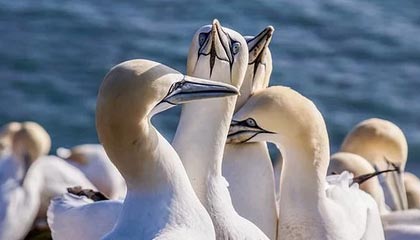 世界杯最新版本下载-阿斯报：卡塞米罗今夏离队，曼联备 2 亿欧补中场寻其接班人